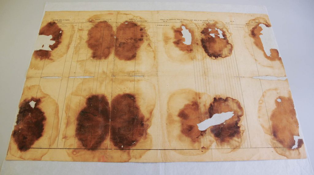 Muster roll sheet before treatment.