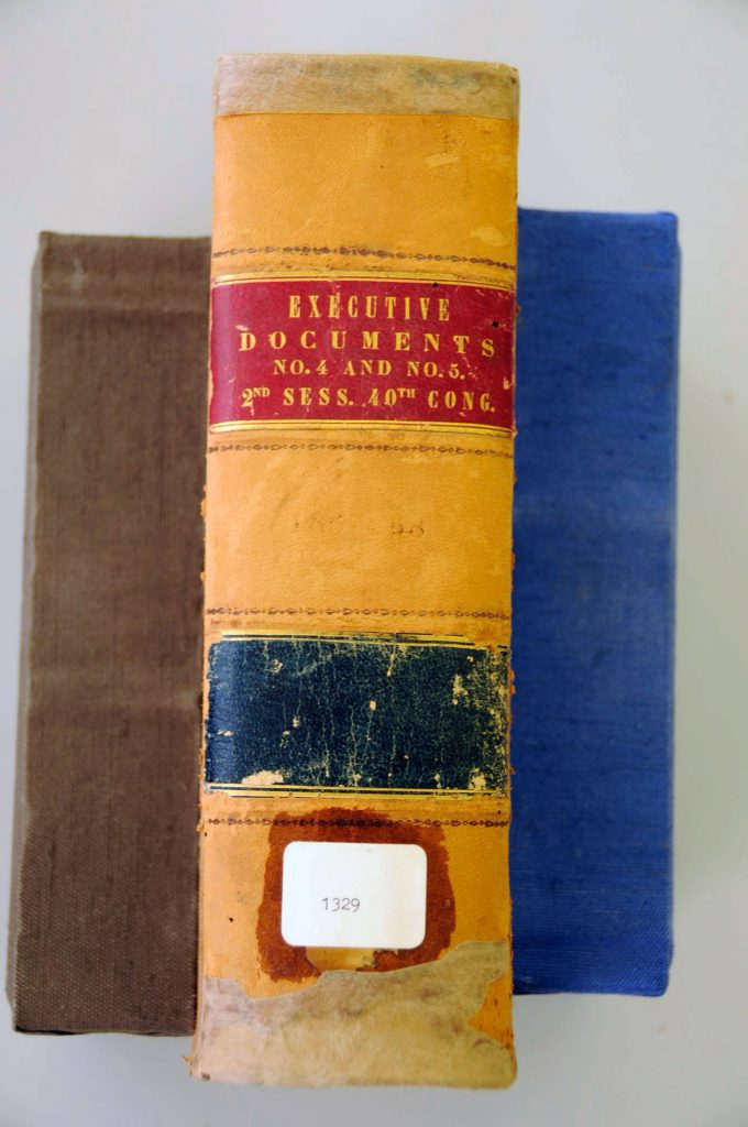 This volume (during treatment) undergoes fills and repairs over the top of the spine covering.